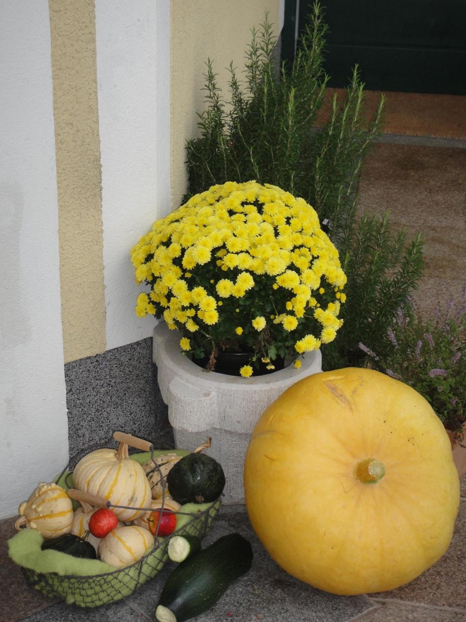 Ferienwohnung Haus Lehen Sankt Koloman Buitenkant foto