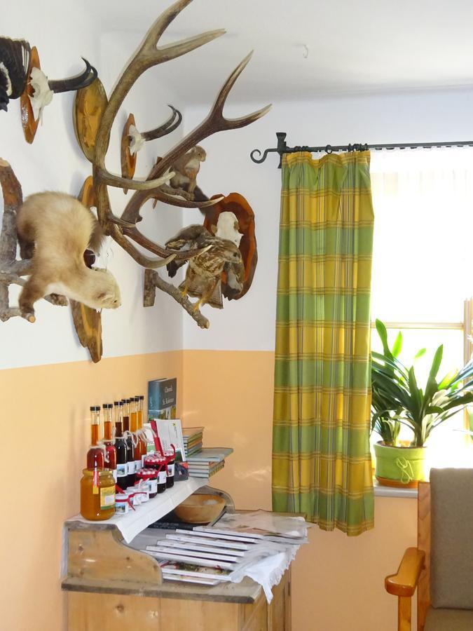 Ferienwohnung Haus Lehen Sankt Koloman Buitenkant foto